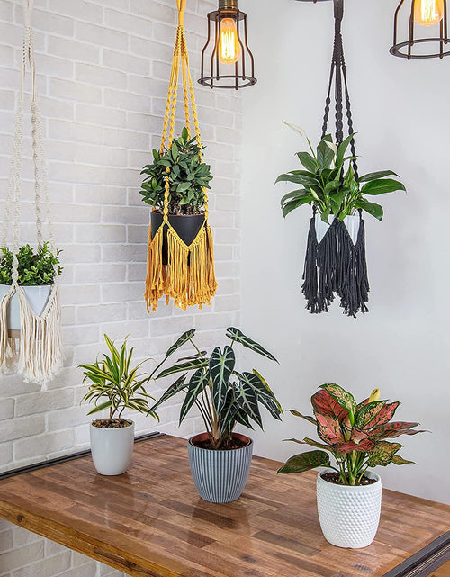 Load image into Gallery viewer, Hanging Planters Macrame for Outdoor &amp; Indoor Plants, Macrame Wall Hanging W 2 Hooks, Hanging Plant Holders, Boho Hanging Planter Basket, No Tassel- Muard 40 Hes, Muard,Dr0010
