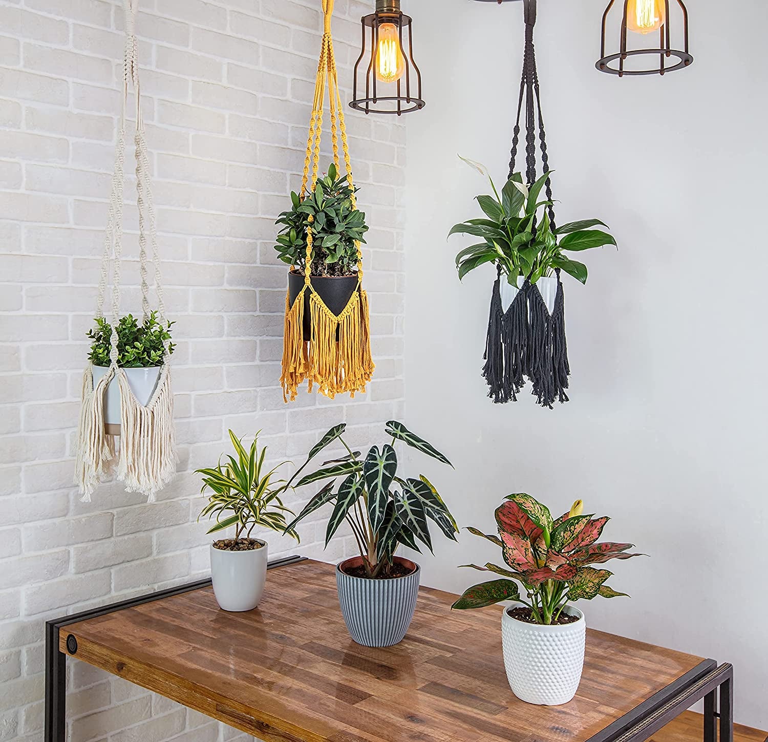 Hanging Planters Macrame for Outdoor & Indoor Plants, Macrame Wall Hanging W 2 Hooks, Hanging Plant Holders, Boho Hanging Planter Basket, No Tassel- Muard 40 Hes, Muard,Dr0010