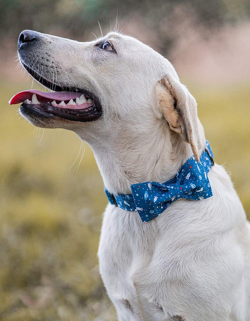 Load image into Gallery viewer, Dog Collar with Bow, Cotton &amp; Webbing, Bowtie Dog Collar, Adjustable Dog Collars for Small Medium Large Dogs and Cats
