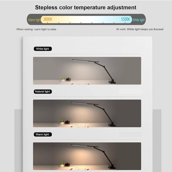 LED Desk Lamp